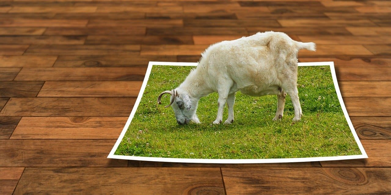 羊が草を食べている画像が切り抜かれて編集されている