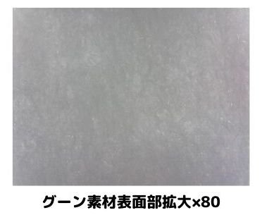 グーン素材表面部を80倍に拡大している