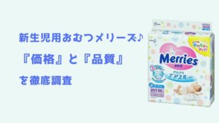 記事のタイトルの新生児用おむつメリーズ♪『価格』と『品質の漏れ・肌触り等』を徹底調査が書いてある