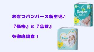 ブログ記事タイトルでおむつパンパース新生児♪『価格』と『品質(背中と横漏れ等)』を徹底調査