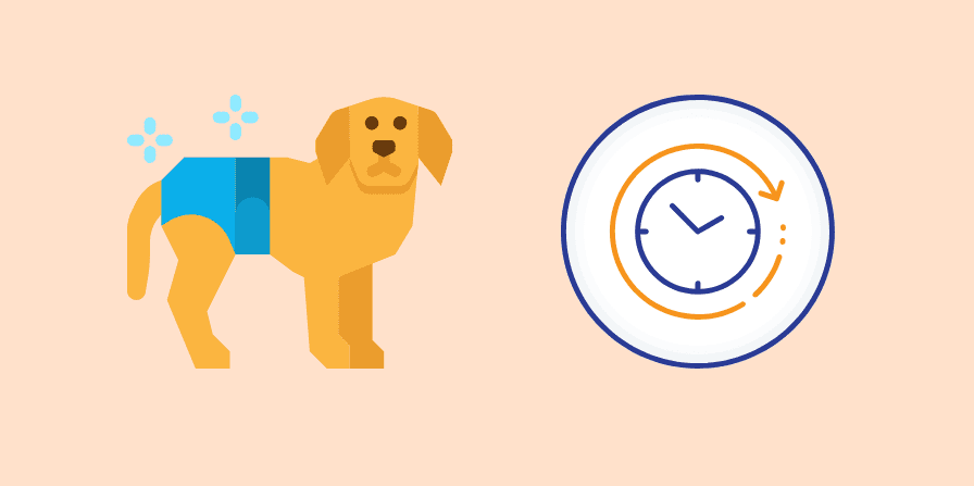 おむつをはいている犬と時間の経過をあわわす時計がある