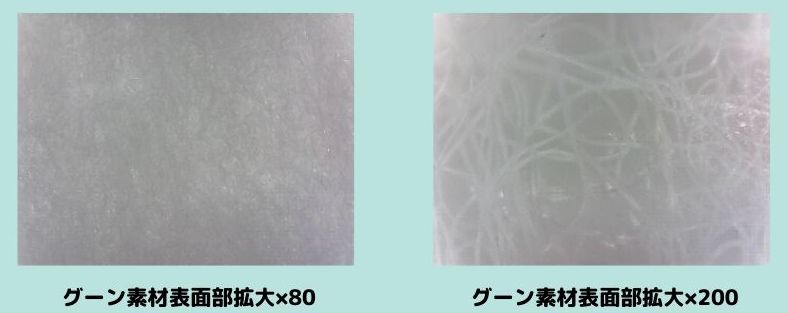 グーンの素材表面部を80倍と200倍に拡大している