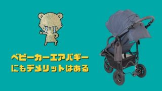 記事のタイトルで『エアバギーにもデメリットはある！重さが軽くて、メンテナンス性が良ければ最強なのに・・』