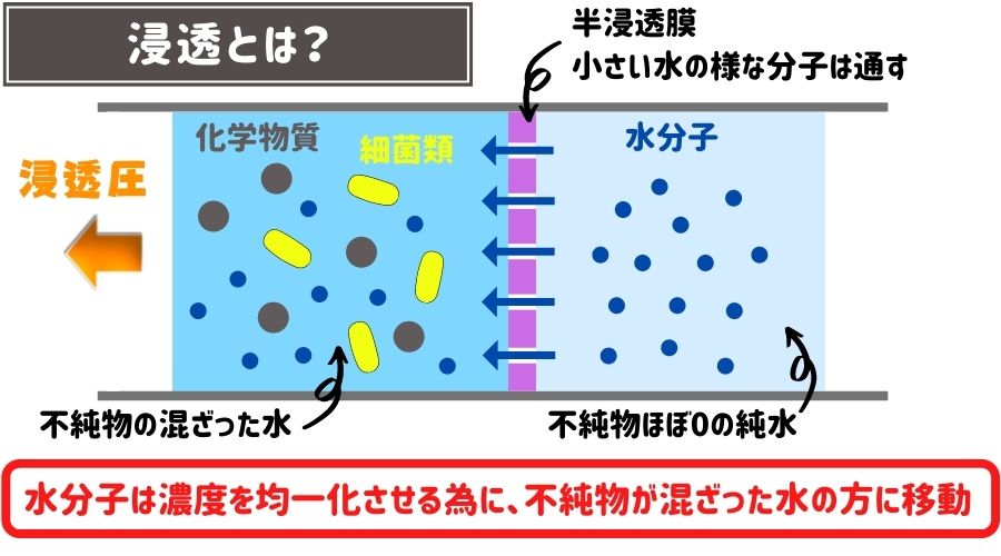 浸透についての説明