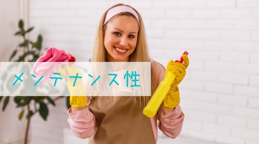 女性が両手に掃除道具を持っている